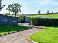 DS091023-91 - Dan Skelton stable visit